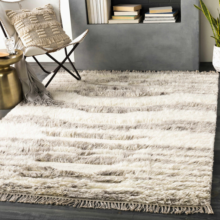 Kingsthorpe Modern Style Ivory And Gray Hand Woven Area Rug