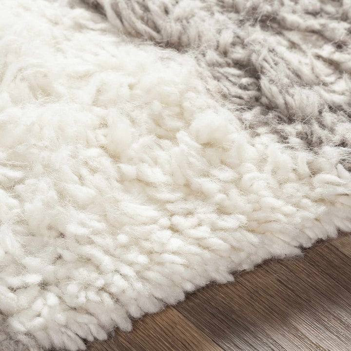 Kingsthorpe Modern Style Ivory And Gray Hand Woven Area Rug