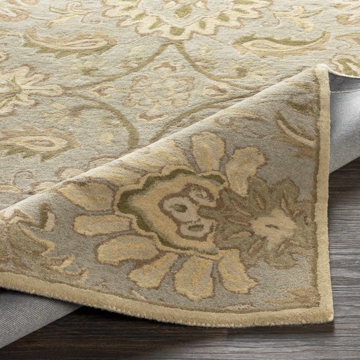 Kohler Traditional Beige Hand Tufted Area Rug - The Rug Decor