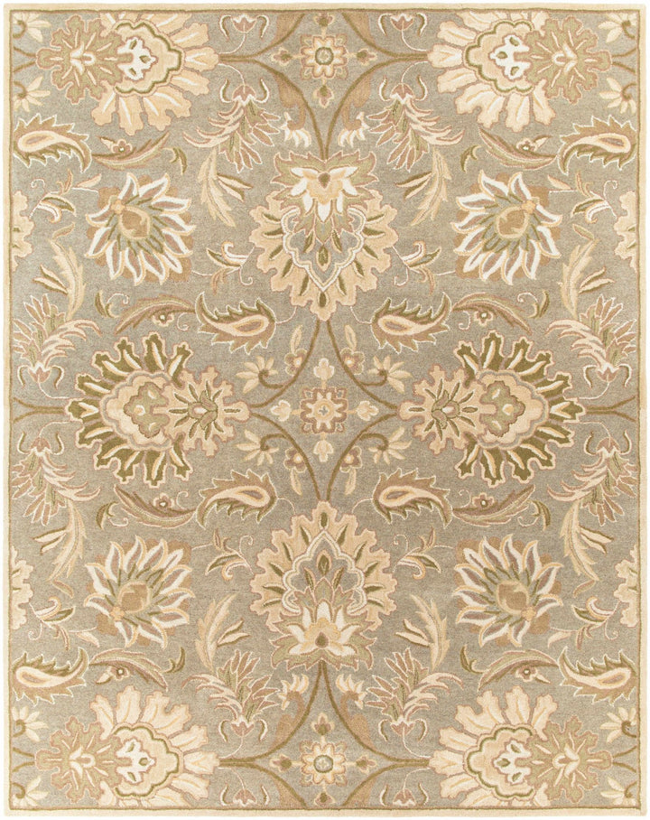 Kohler Traditional Beige Hand Tufted Area Rug - The Rug Decor