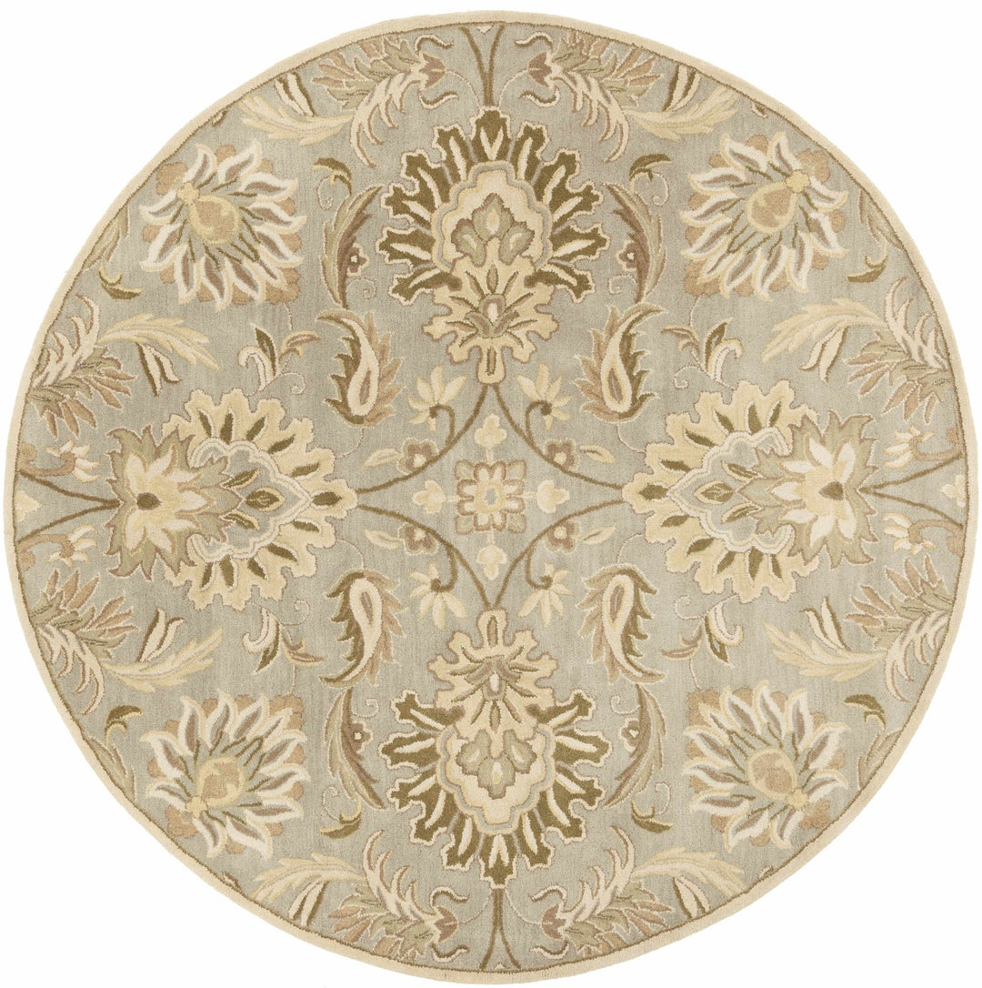 Kohler Traditional Beige Hand Tufted Area Rug - The Rug Decor