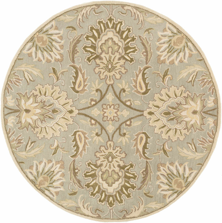 Kohler Traditional Beige Hand Tufted Area Rug - The Rug Decor