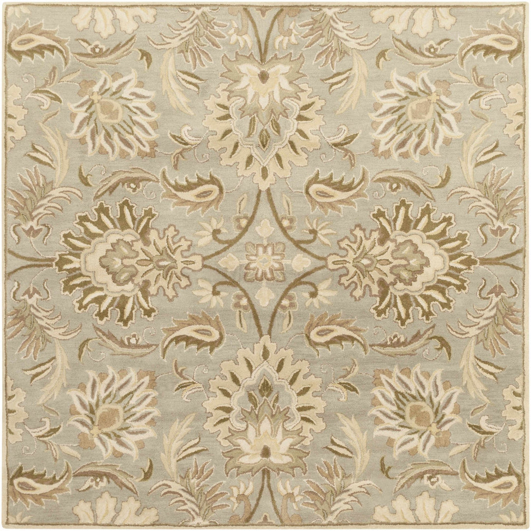 Kohler Traditional Beige Hand Tufted Area Rug - The Rug Decor