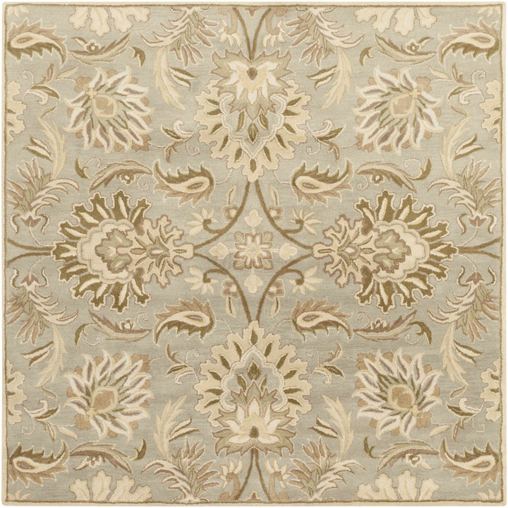 Kohler Traditional Beige Hand Tufted Area Rug - The Rug Decor