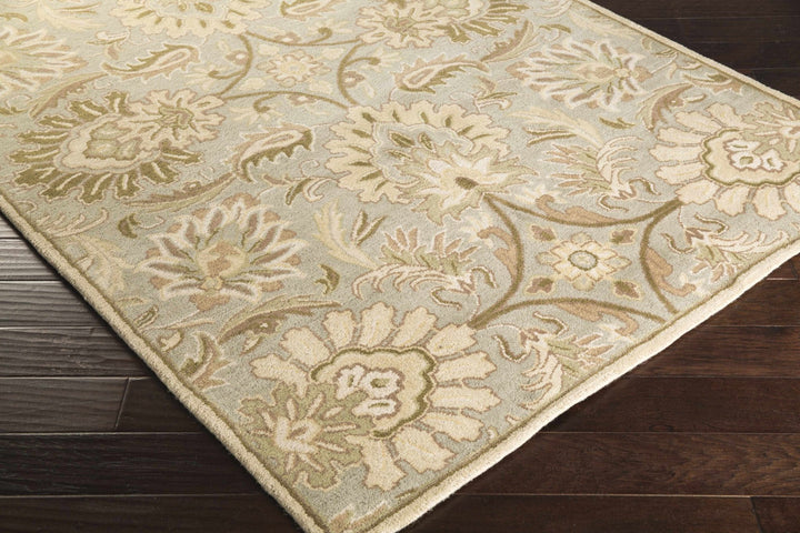 Kohler Traditional Beige Hand Tufted Area Rug - The Rug Decor