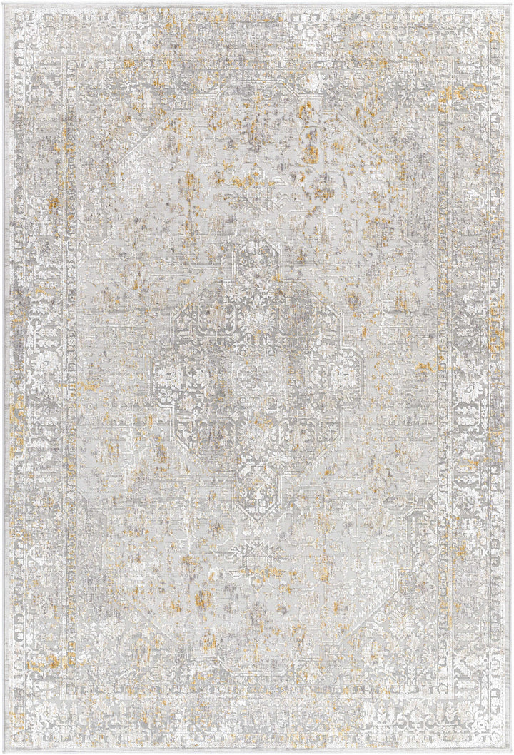 Traditional Beige Machine Woven Area Rug