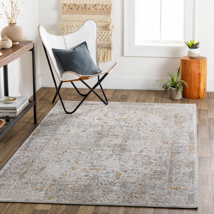 Traditional Beige Machine Woven Area Rug
