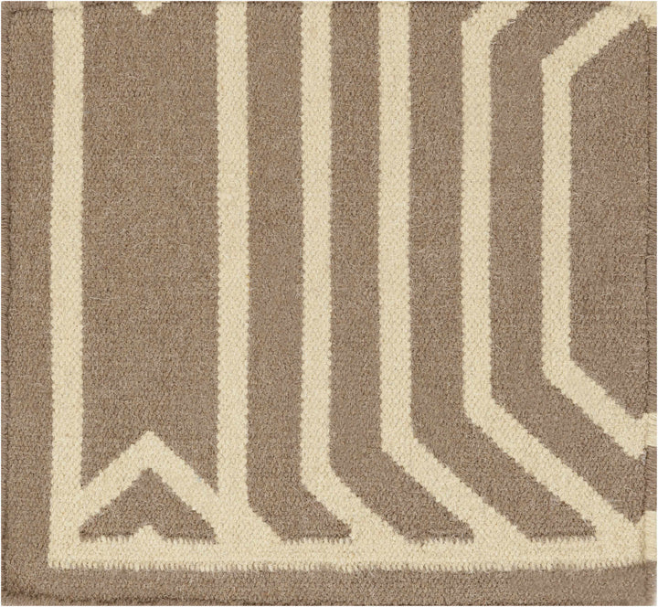 Koosharem Contemporary Style Beige Hand Woven Area Rug