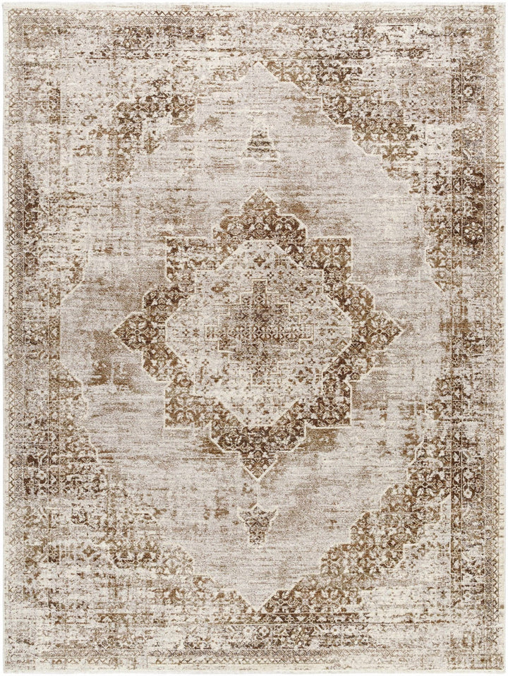 Kosta Transitional Medallion Design Beige And Brown Area Rug - The Rug Decor