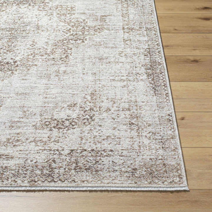 Kosta Transitional Medallion Design Beige And Brown Area Rug - The Rug Decor
