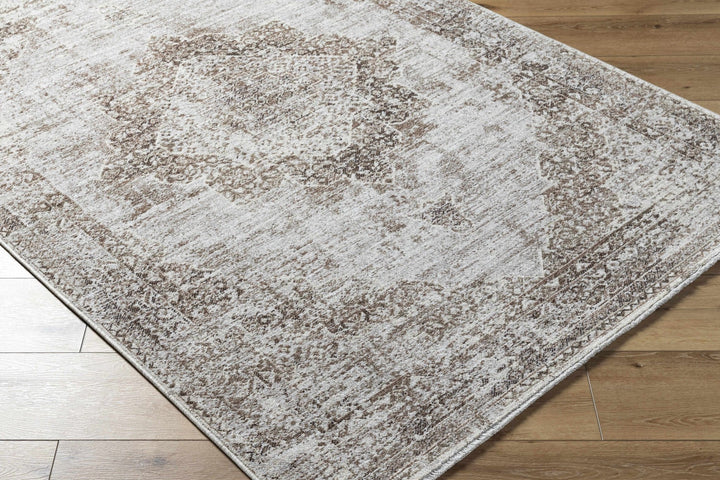 Kosta Transitional Medallion Design Beige And Brown Area Rug - The Rug Decor