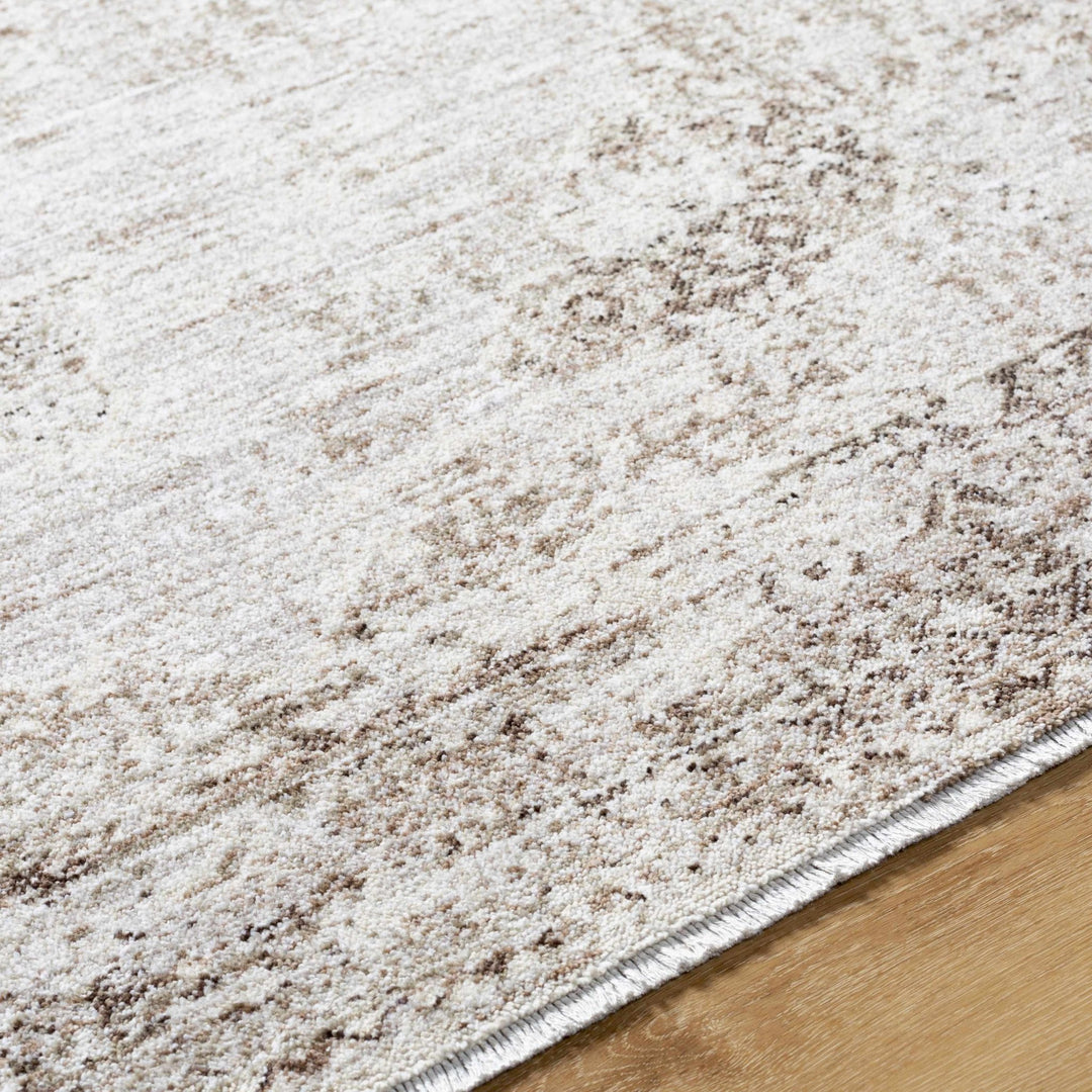 Kosta Transitional Medallion Design Beige And Brown Area Rug - The Rug Decor