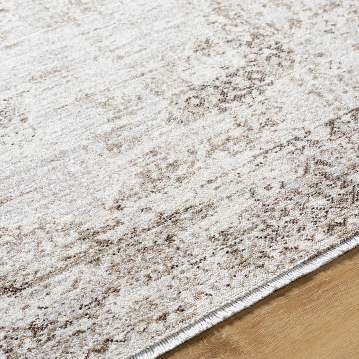 Kosta Transitional Medallion Design Beige And Brown Area Rug - The Rug Decor