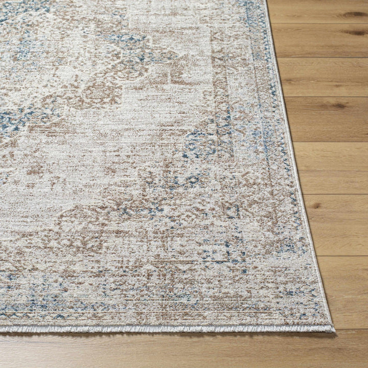 Kosta Transitional Medallion Design Beige & Blue Area Rug - The Rug Decor