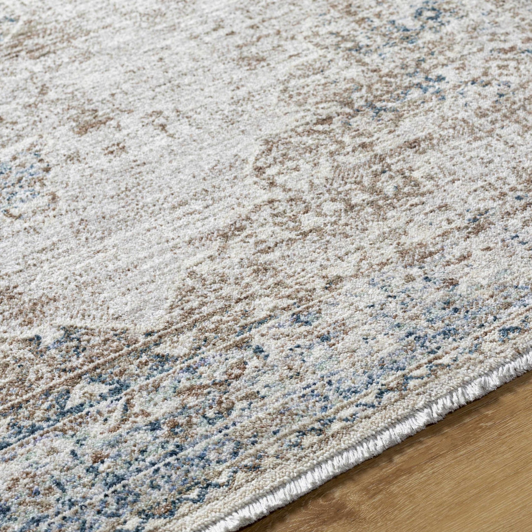 Kosta Transitional Medallion Design Beige & Blue Area Rug - The Rug Decor