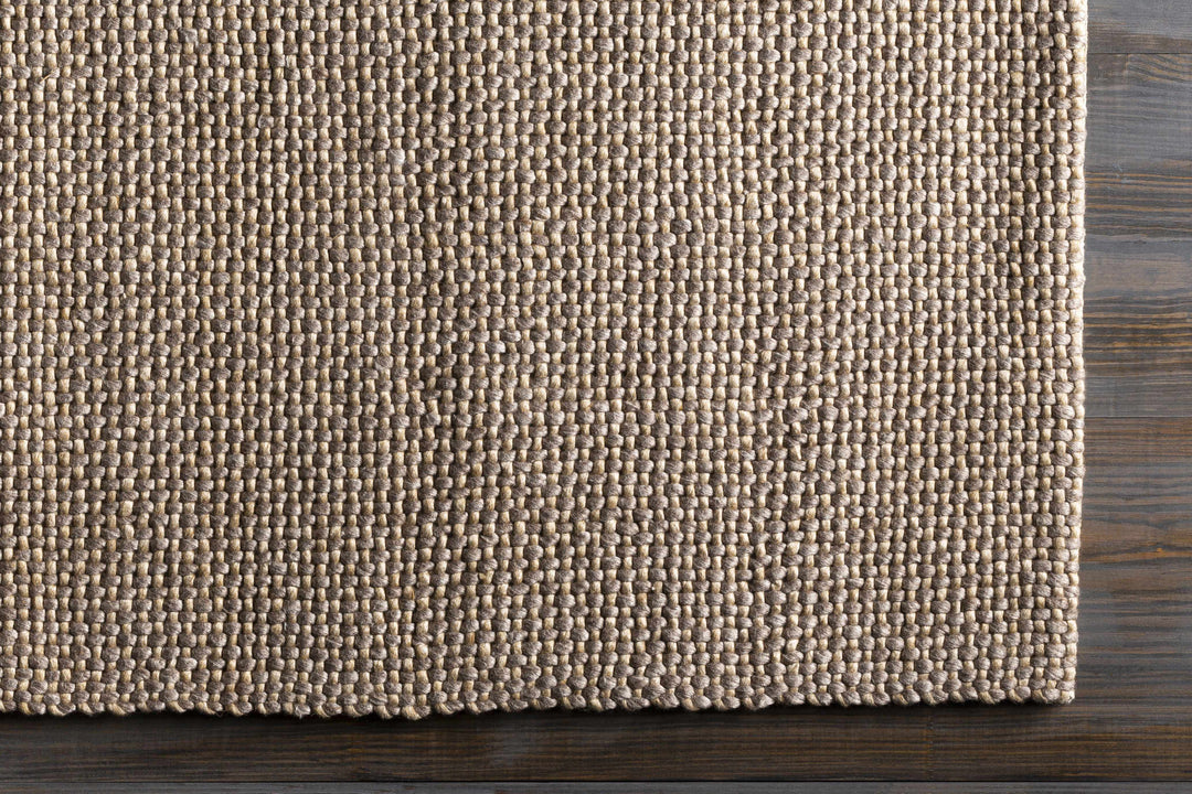 Kirksville Modern Style Brown Hand Woven Area Rug