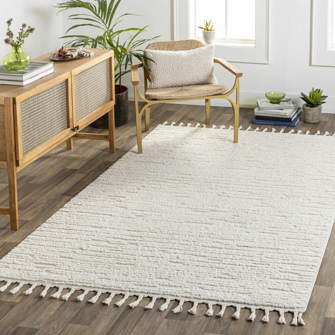 Kulu Ivory Contemporary Style Area Rug - The Rug Decor
