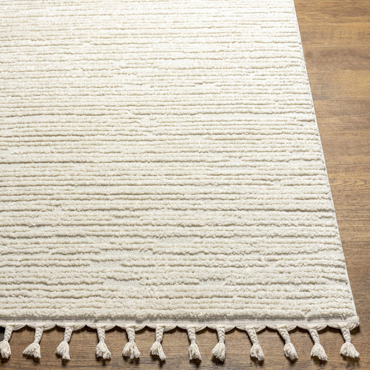 Kulu Ivory Contemporary Style Area Rug - The Rug Decor