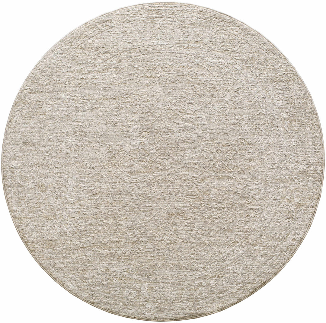 Kyran Beige Traditional Style Area Rug - The Rug Decor