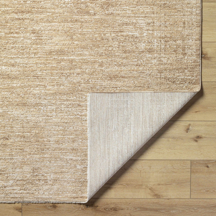 Kyran Tan Contemporary Style Area Rug - The Rug Decor
