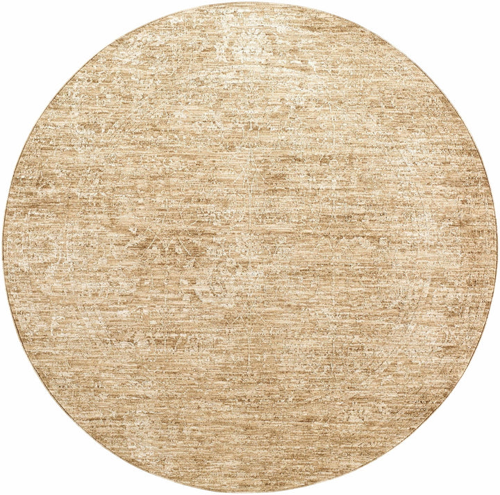 Kyran Tan Contemporary Style Area Rug - The Rug Decor