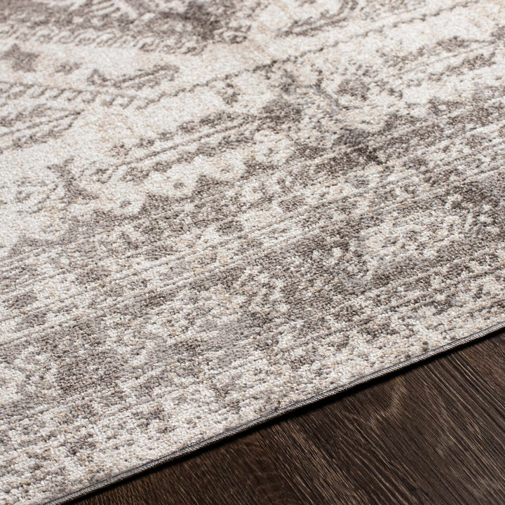 Ladybrand Traditional Beige And Brown Washable Area Rug