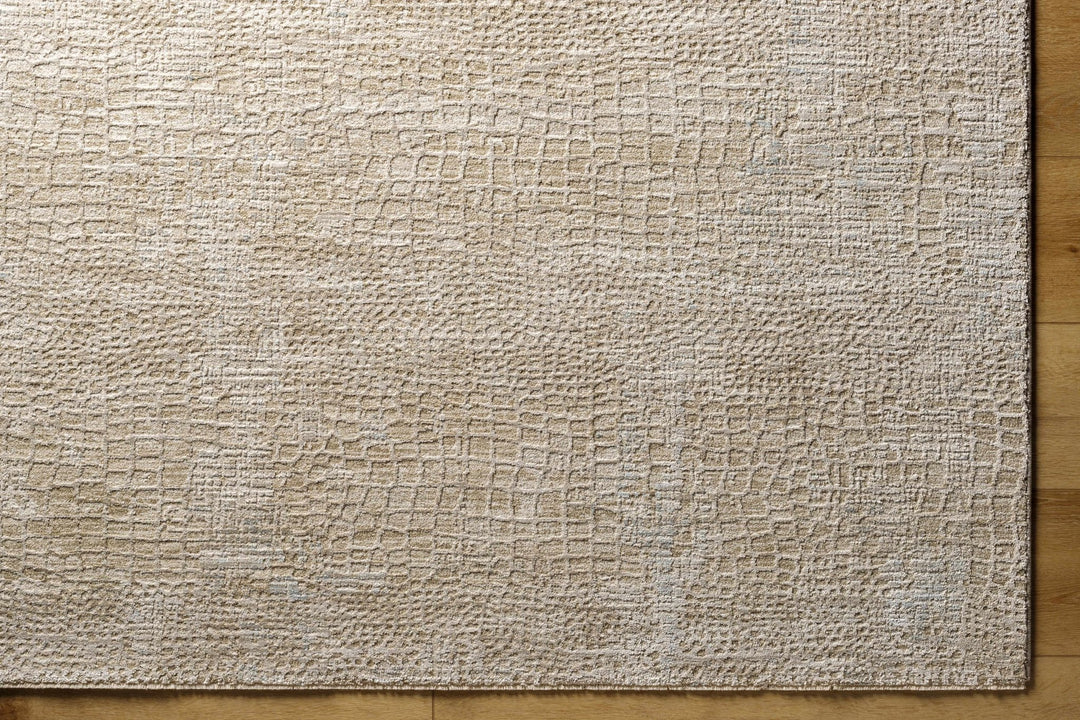 Laina Contemporary Style Beige Rug - The Rug Decor