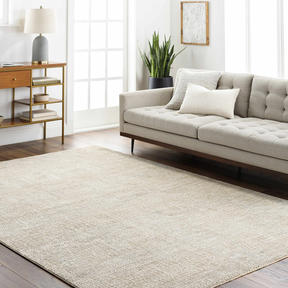 Laina Contemporary Style Beige Rug - The Rug Decor
