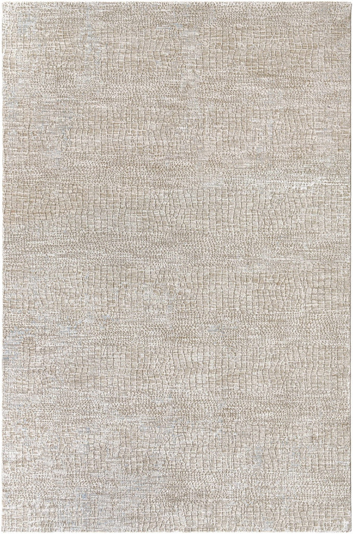 Laina Contemporary Style Beige Rug - The Rug Decor