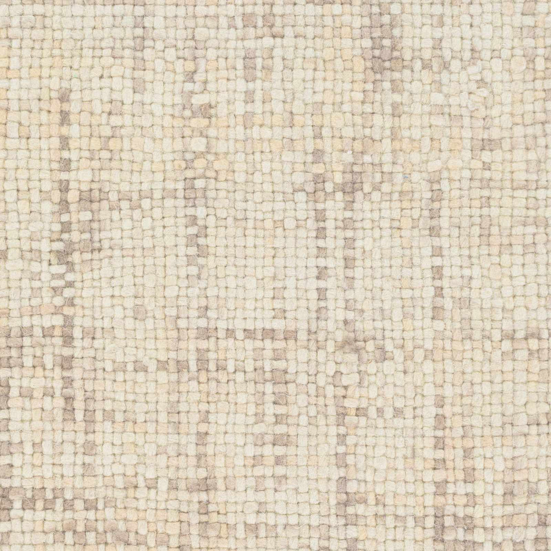 Langeloth Beige Modern Style Hand Woven Area Rug - The Rug Decor