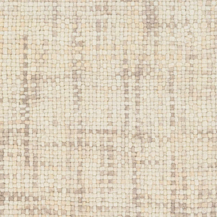 Langeloth Beige Modern Style Hand Woven Area Rug - The Rug Decor