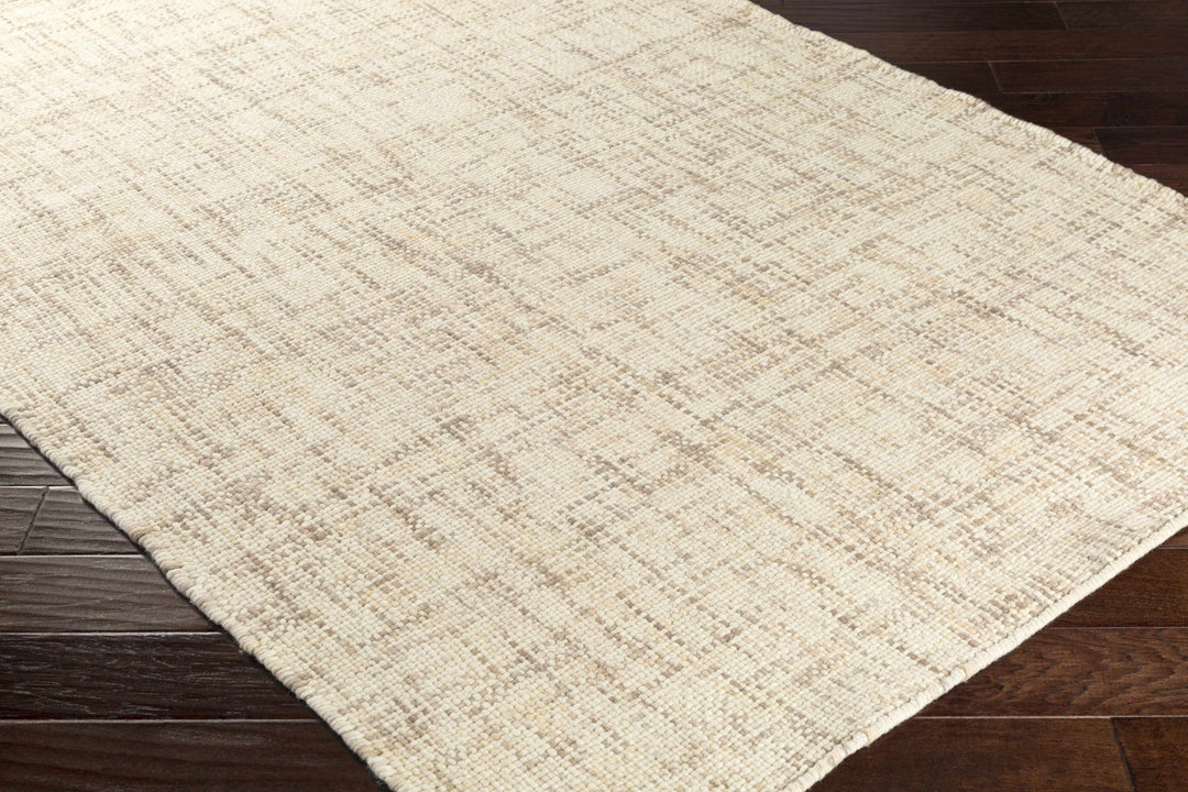 Langeloth Beige Modern Style Hand Woven Area Rug - The Rug Decor