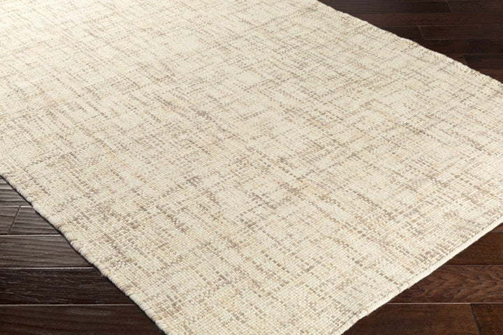 Langeloth Beige Modern Style Hand Woven Area Rug - The Rug Decor