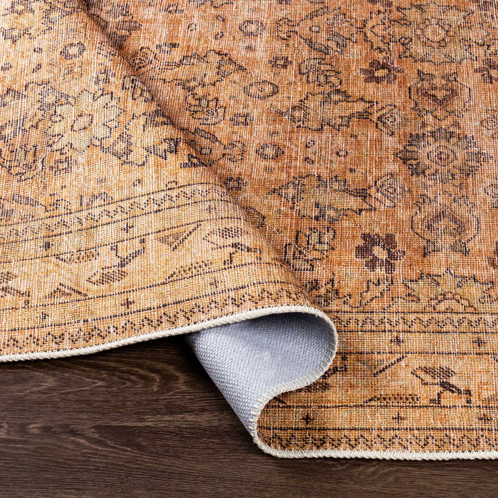 Lapining Washable Traditional Beige And Brown Area Rug