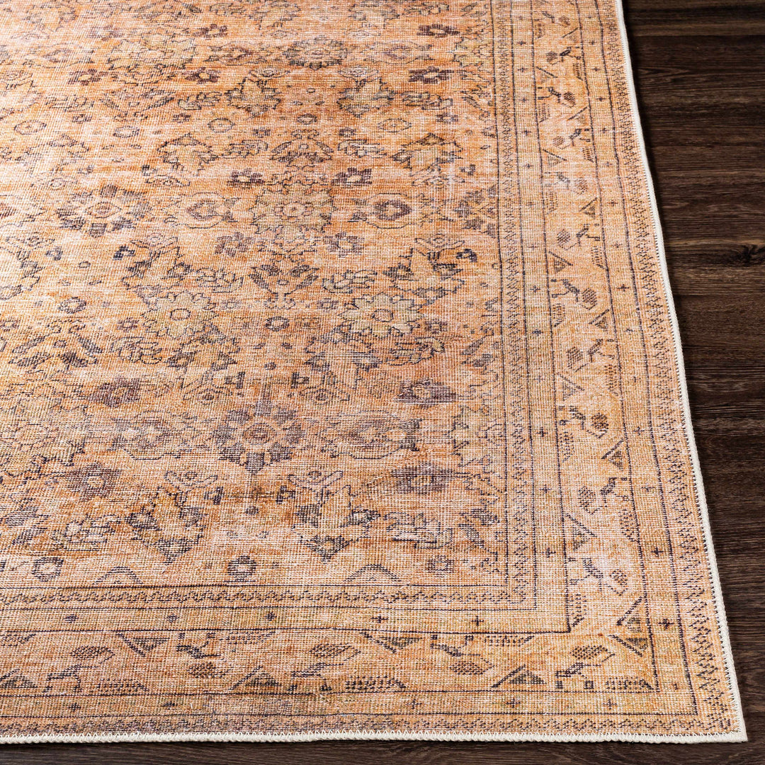 Lapining Washable Traditional Beige And Brown Area Rug