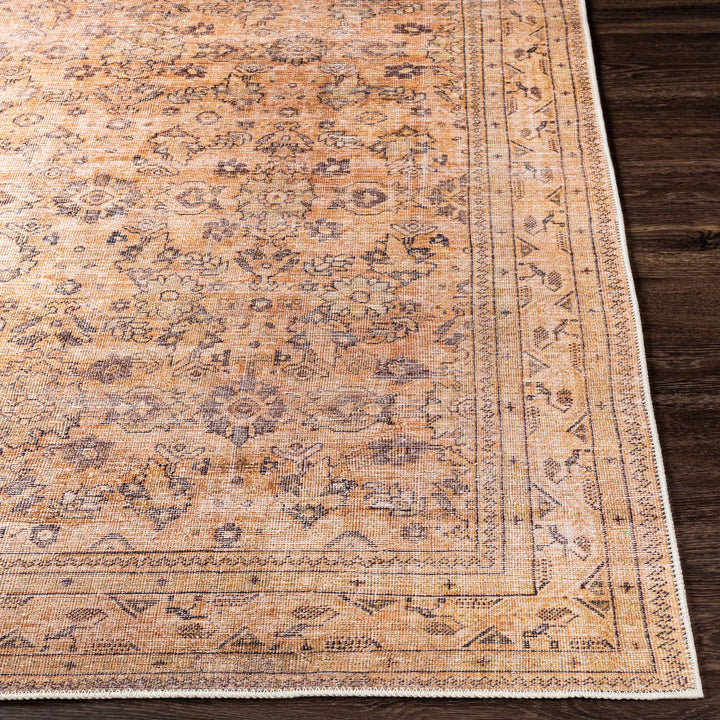 Lapining Washable Traditional Beige And Brown Area Rug