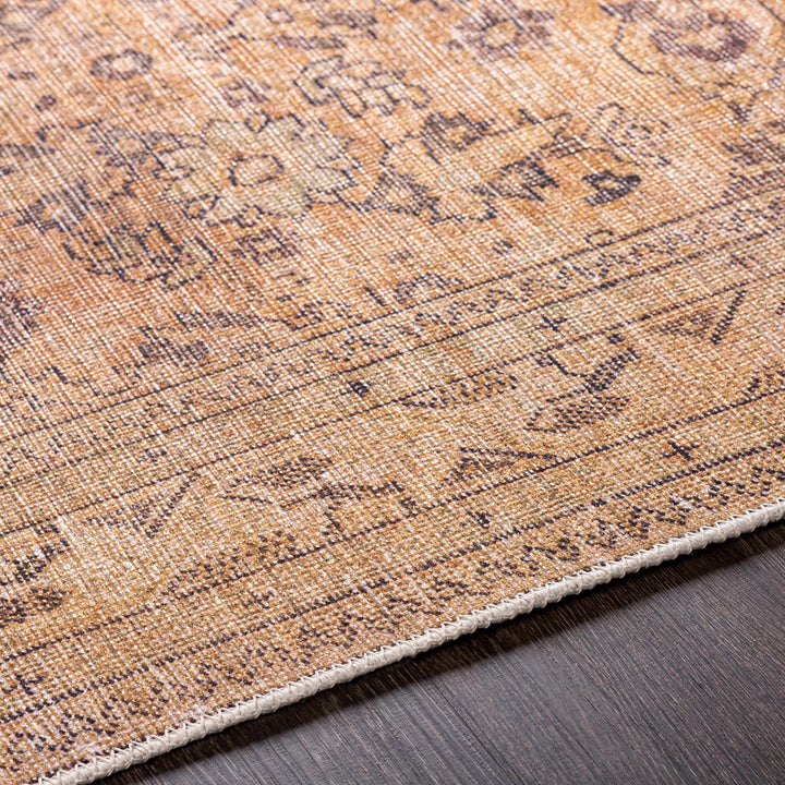 Lapining Washable Traditional Beige And Brown Area Rug