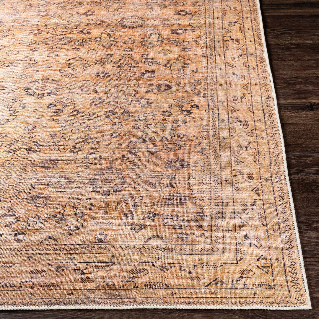 Lapining Washable Traditional Beige And Brown Area Rug - The Rug Decor