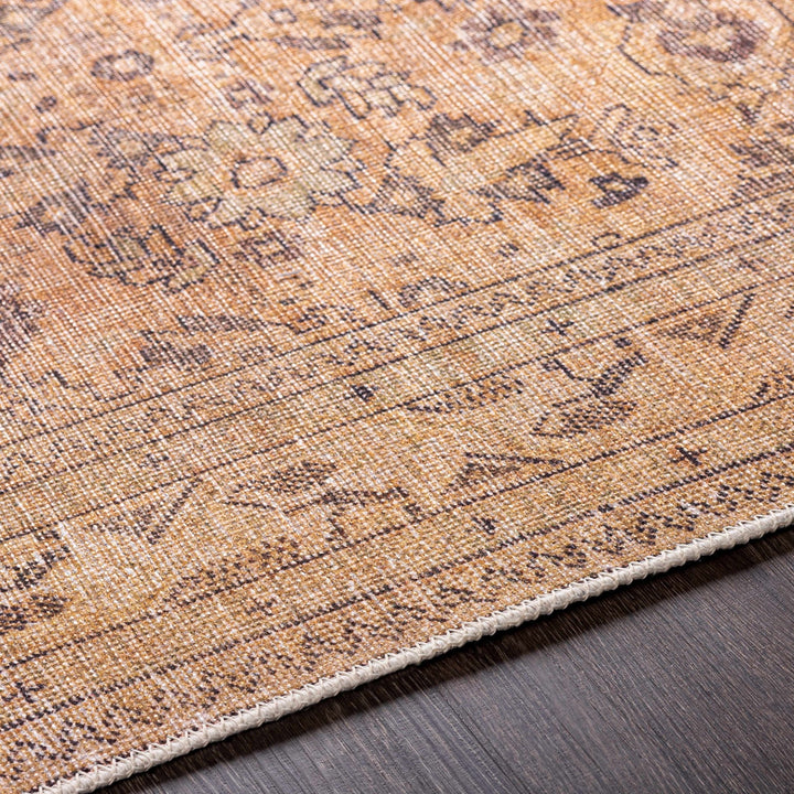 Lapining Washable Traditional Beige And Brown Area Rug - The Rug Decor
