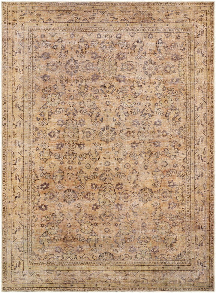 Lapining Washable Traditional Beige And Brown Area Rug - The Rug Decor