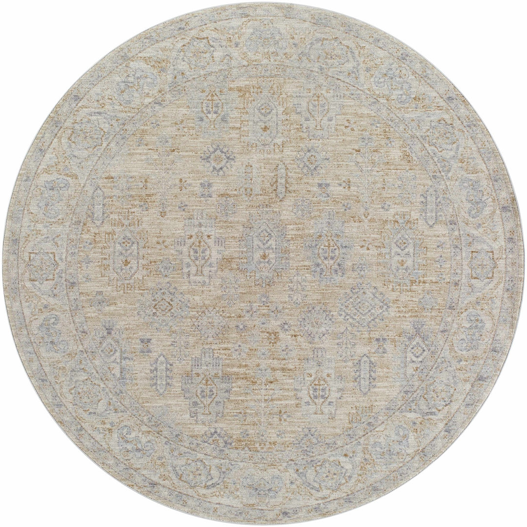 Lash Traditional Floral Design Beige And Blue Area Rug - The Rug Decor