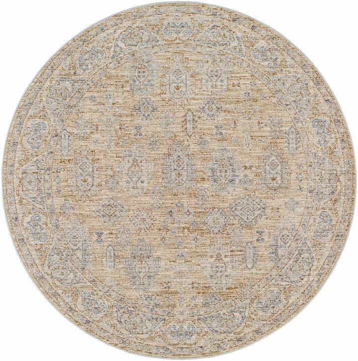 Lash Traditional Floral Design Beige And Blue Area Rug - The Rug Decor