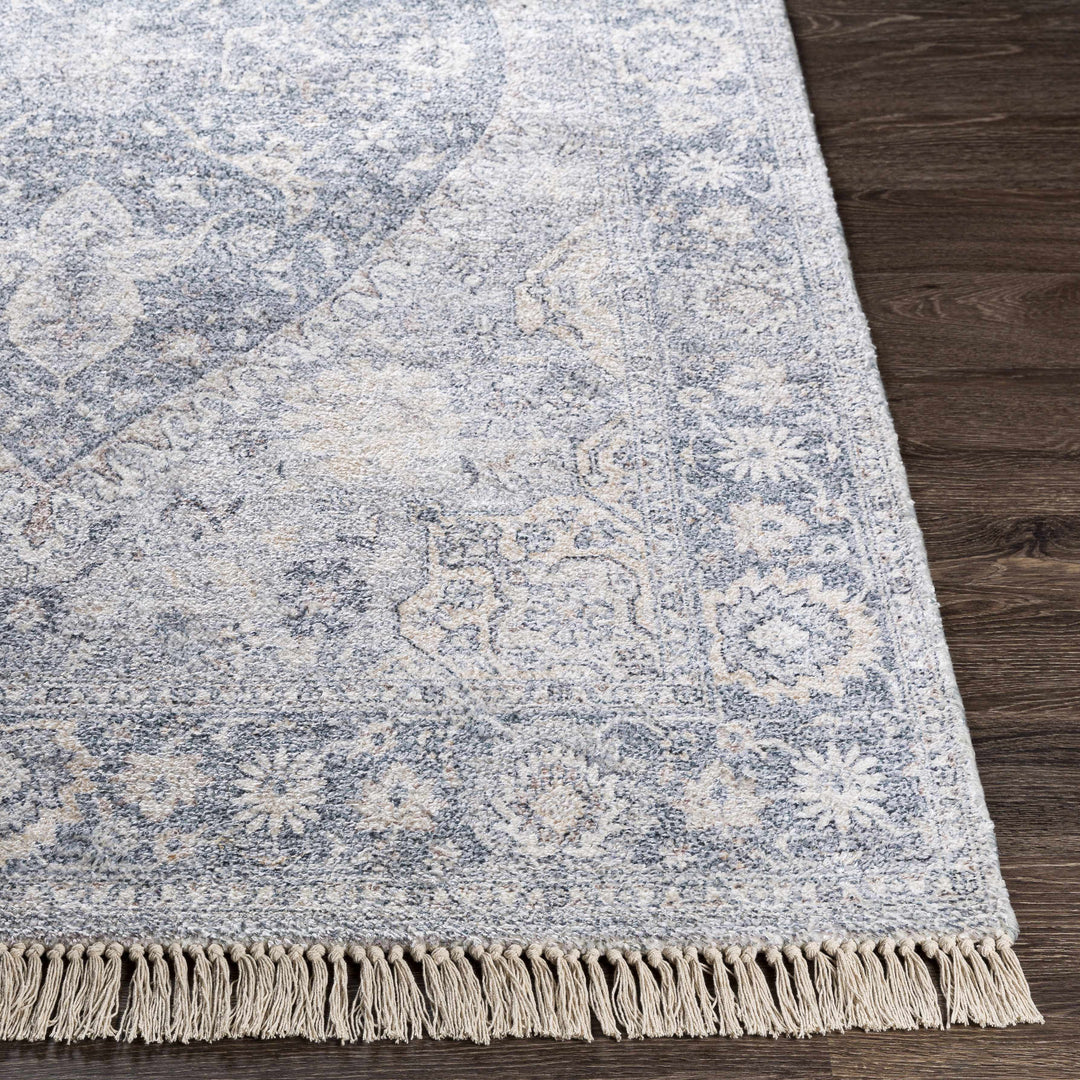 Laura Traditional Style Blue And Beige Hand Woven Area Rug