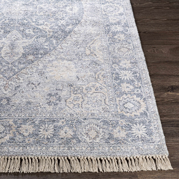 Laura Traditional Style Blue And Beige Hand Woven Area Rug