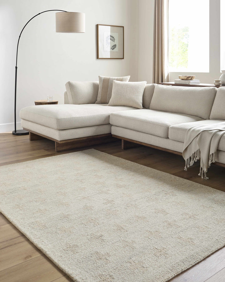 Lotta Hand Tufted Modern Style Beige Wool Area Rug