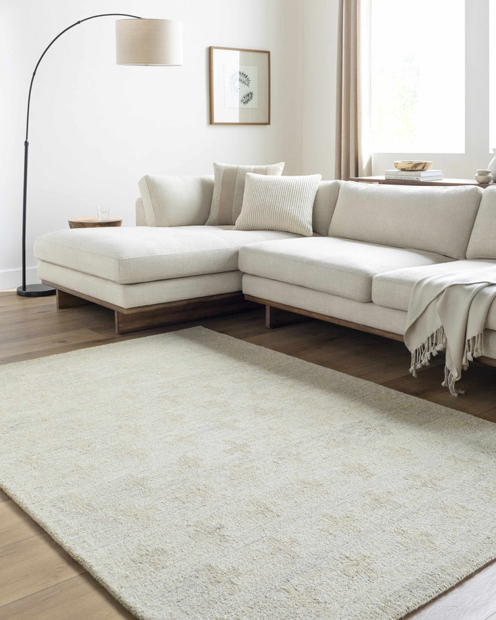 Lotta Hand Tufted Modern Style Beige Wool Area Rug
