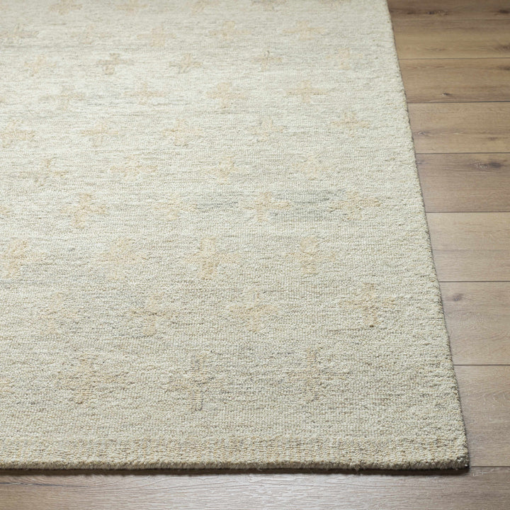 Lotta Hand Tufted Modern Style Beige Wool Area Rug