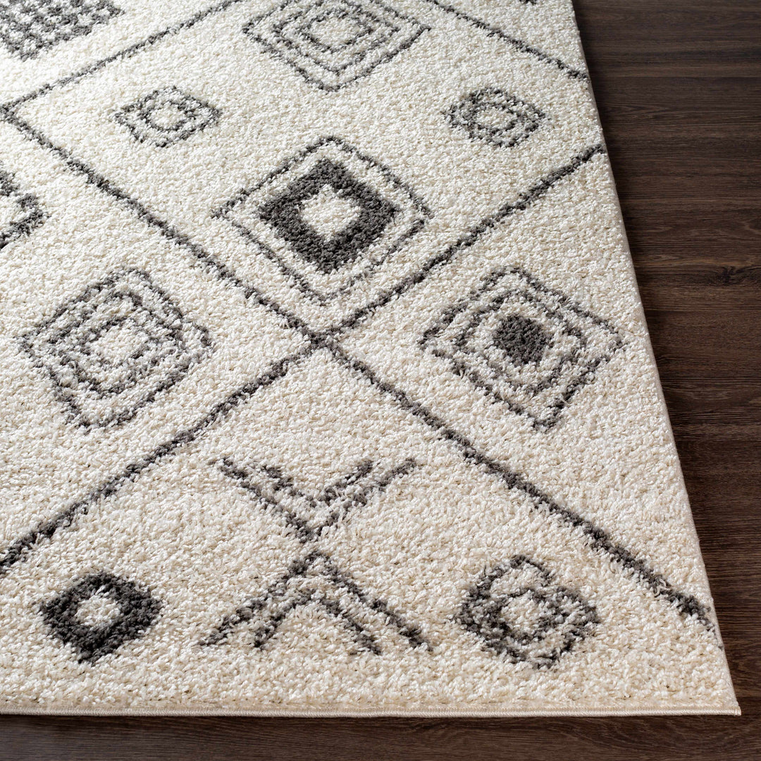 Albury Modern Geometrical Design Ivory And Charcoal Area Rug