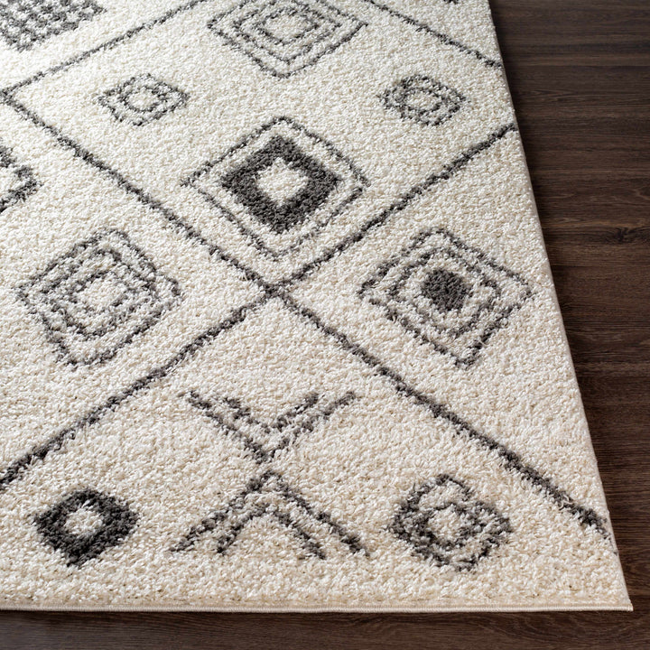 Albury Modern Geometrical Design Ivory And Charcoal Area Rug