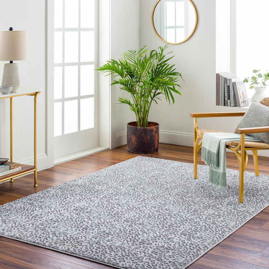 Lesa Gray Modern Contemporary Style Area Rug - The Rug Decor